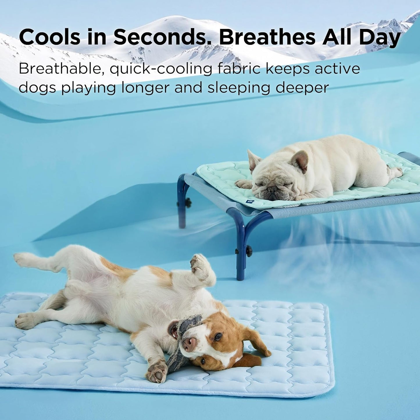 Cooling Dog Mat Extra Large,Thin Breathable Cold Crate Pad for Pet, Portable Washable Kennel Bed for Summer Active Dog with Chill Soothing Fabric to Rapid Cooling, 41x28In