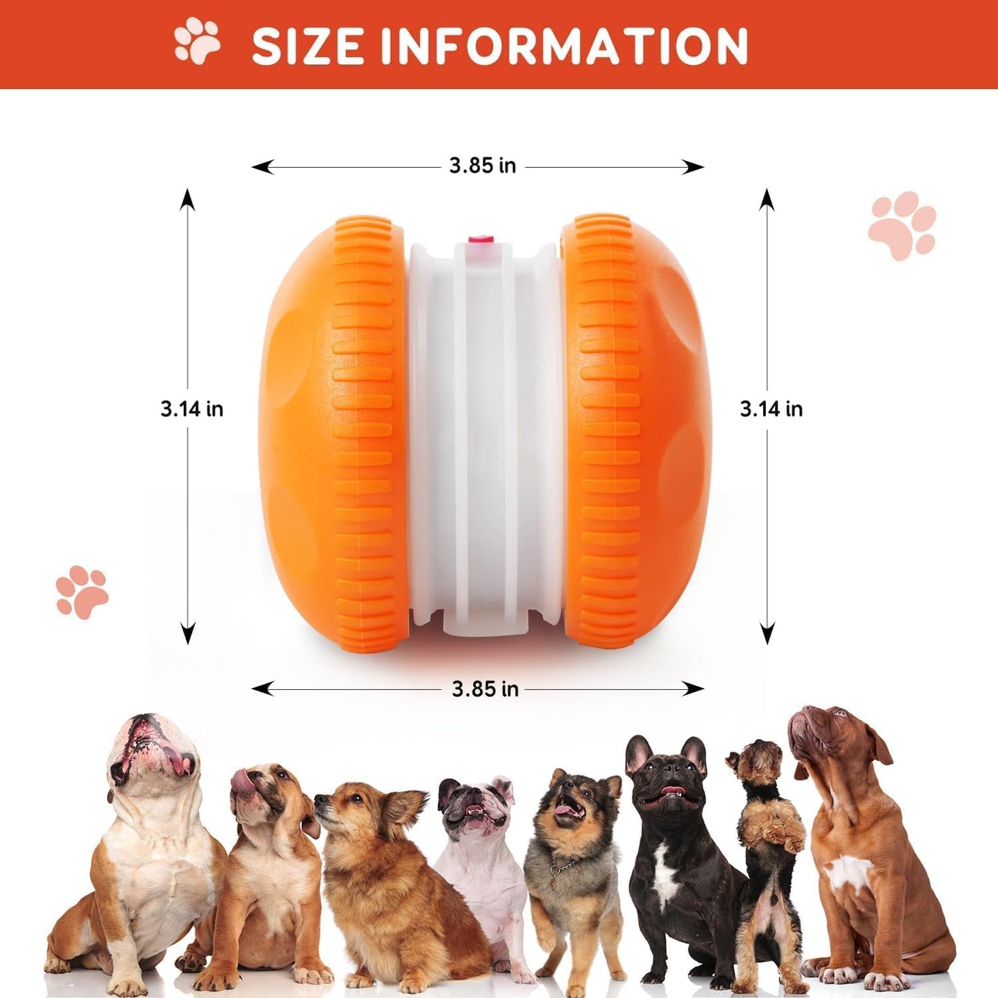 Random Path Electric Rolling Dog Toy with Rope, Motion-Activated for Small/Medium Dogs, Boredom Relief