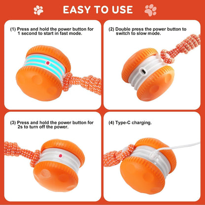 Random Path Electric Rolling Dog Toy with Rope, Motion-Activated for Small/Medium Dogs, Boredom Relief