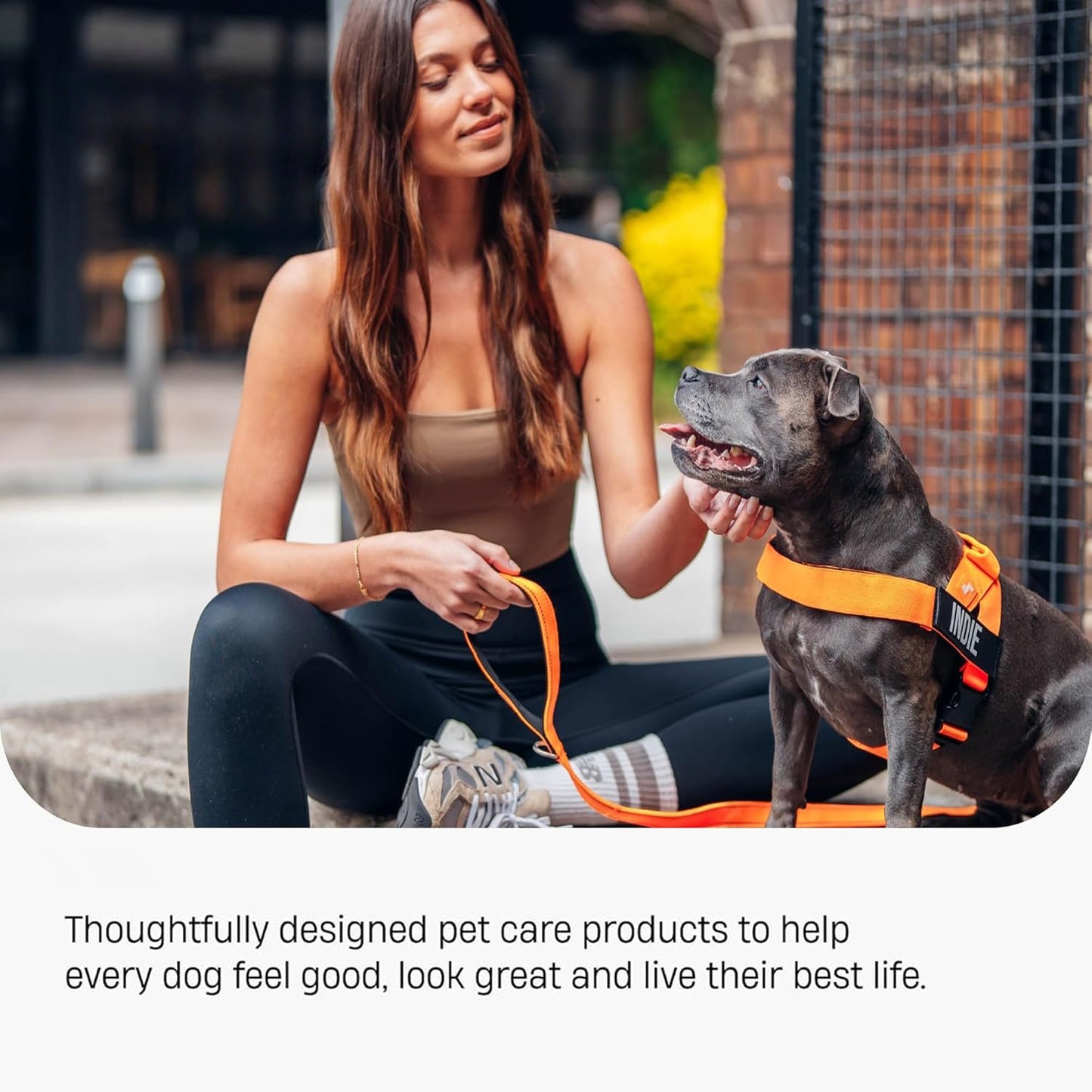 No-Rub Dog Harness | Anti-Chafe Straps, Custom Fit Neck & Torso, Reinforced D-Ring | Durable, Soft, Snap-On Design