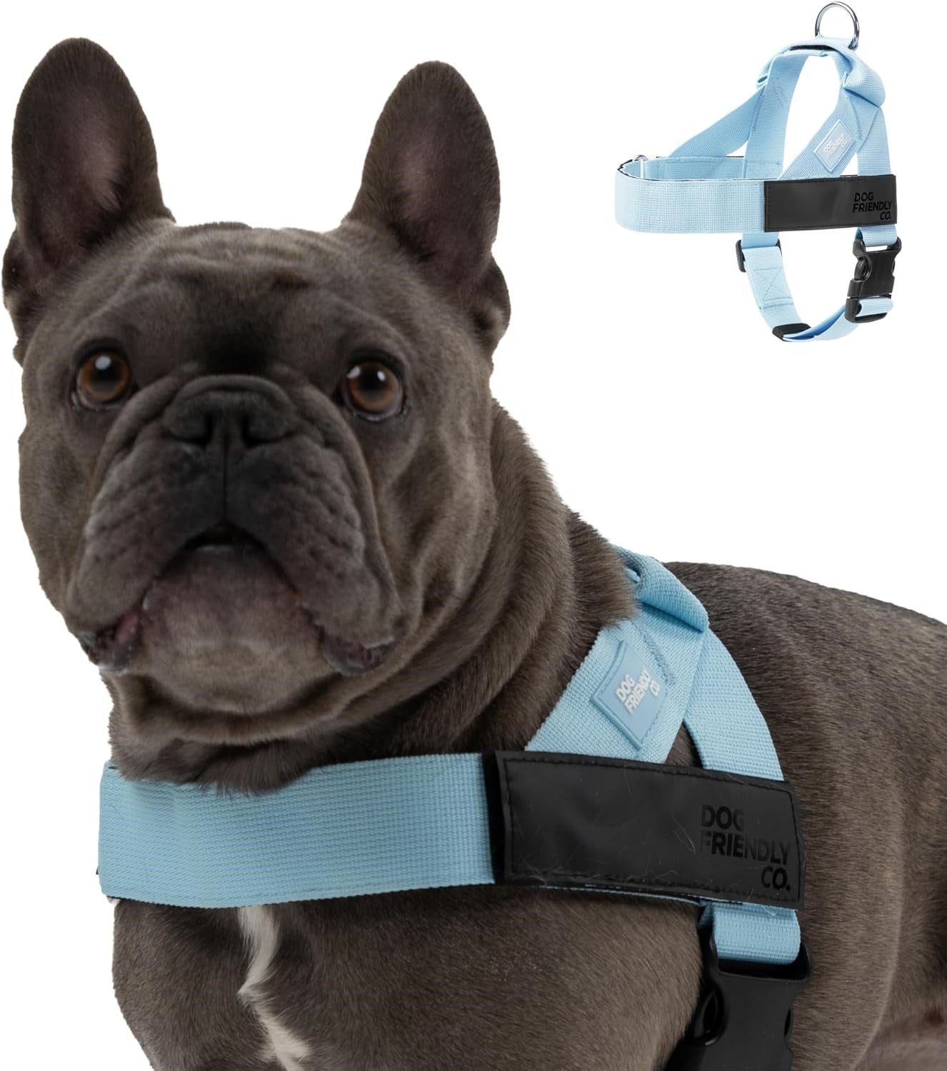 No-Rub Dog Harness | Anti-Chafe Straps, Custom Fit Neck & Torso, Reinforced D-Ring | Durable, Soft, Snap-On Design