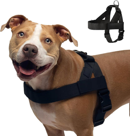 No-Rub Dog Harness | Anti-Chafe Straps, Custom Fit Neck & Torso, Reinforced D-Ring | Durable, Soft, Snap-On Design