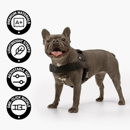 No-Rub Dog Harness | Anti-Chafe Straps, Custom Fit Neck & Torso, Reinforced D-Ring | Durable, Soft, Snap-On Design