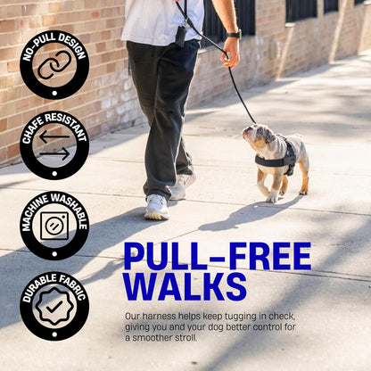 No-Rub Dog Harness | Anti-Chafe Straps, Custom Fit Neck & Torso, Reinforced D-Ring | Durable, Soft, Snap-On Design