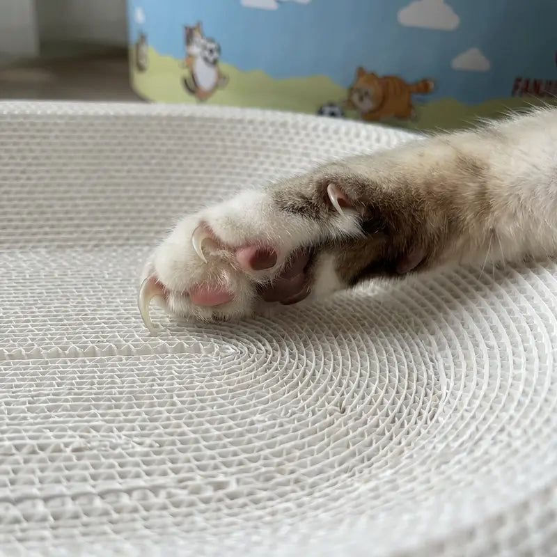2-in-1Cartoon cat scratcher bed,Play & Rest Design