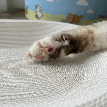 2-in-1Cartoon cat scratcher bed,Play & Rest Design