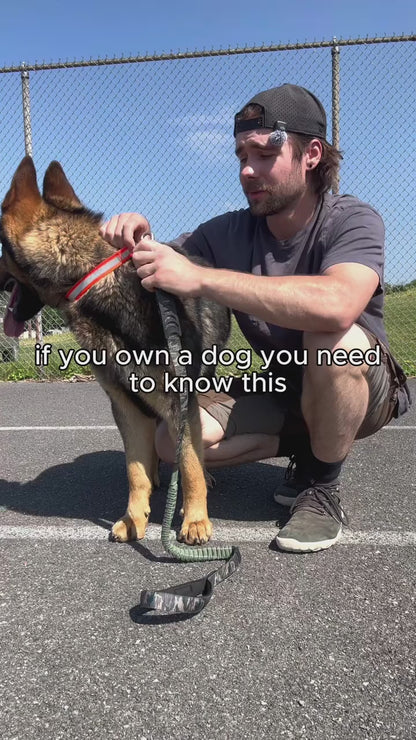 No-Rub Dog Harness | Anti-Chafe Straps, Custom Fit Neck & Torso, Reinforced D-Ring | Durable, Soft, Snap-On Design