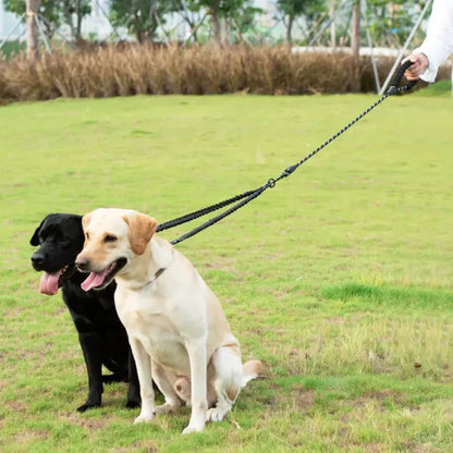 Dual Dog Leash - 360° Swivel, No Tangle Walking Leash with Shock Absorbing Bungee for Two Dogs (Large, 25-150 lbs)
